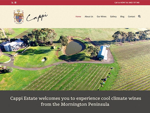 Cappi Estate website design
